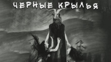 Слушать онлайн аудиокниги Чёрные крылья Аудиокнига Чёрные крылья