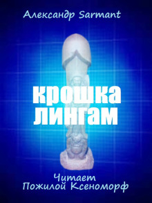 Аудиокнига Крошка лингам