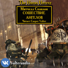 Аудиокнига Сошествие Ангелов