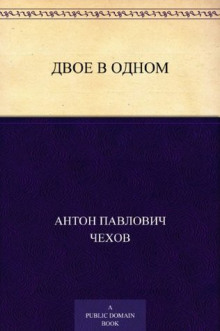 Аудиокнига Двое в одном