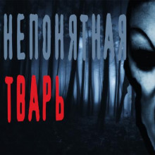 Слушать онлайн аудиокниги Непонятная тварь Аудиокнига Непонятная тварь