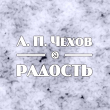 Аудиокнига Радость