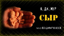 Аудиокнига Сыр