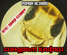 Слушать онлайн аудиокниги Синдром Кафки Аудиокнига Синдром Кафки