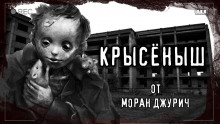 слушать аудиокнигу Крысёныш Аудиокнига Крысёныш