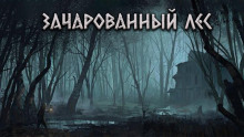 Слушать онлайн аудиокниги Зачарованный лес Аудиокнига Зачарованный лес