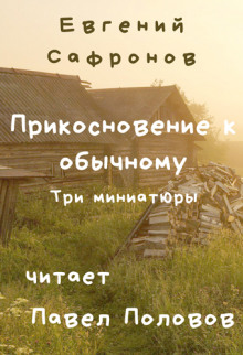 Аудиокнига Прикосновение к обычному. Три миниатюры