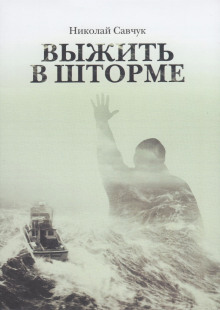Слушать онлайн аудиокниги Выжить в шторме Аудиокнига Выжить в шторме