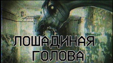Слушать онлайн аудиокниги Лошадиная голова Аудиокнига Лошадиная голова
