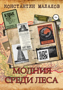 Слушать онлайн аудиокниги Молния среди леса Аудиокнига Молния среди леса