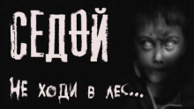 слушать аудиокнигу Седой Аудиокнига Седой