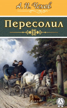 Слушать онлайн аудиокниги Пересолил Аудиокнига Пересолил
