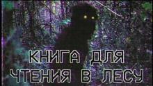Слушать онлайн аудиокниги Книга для чтения в лесу Аудиокнига Книга для чтения в лесу