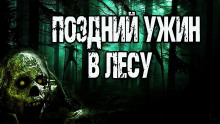 Аудиокнига Поздний ужин в лесу