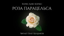 Слушать онлайн аудиокниги Роза Парацельса Аудиокнига Роза Парацельса