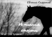 слушать аудиокнигу Истинная сторона Аудиокнига Истинная сторона