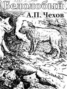 Слушать онлайн аудиокниги Белолобый Аудиокнига Белолобый