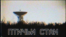 Аудиокнига Птичьи стаи
