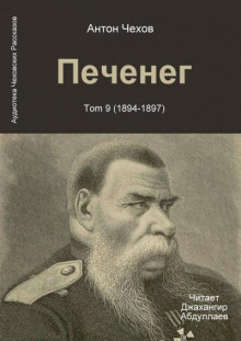 Аудиокнига Печенег
