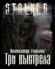 Аудиокнига S.T.A.L.K.E.R. Три выстрела