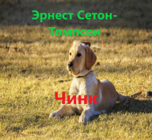 Аудиокнига Чинк
