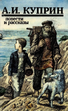 Слушать онлайн аудиокниги Рассказы Аудиокнига Рассказы