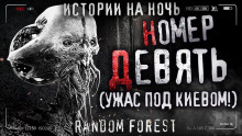 Слушать онлайн аудиокниги Номер девять Аудиокнига Номер девять