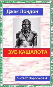 Слушать онлайн аудиокниги Зуб кашалота Аудиокнига Зуб кашалота