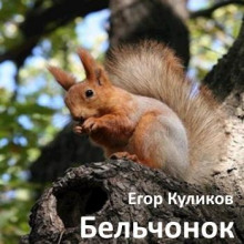 Слушать онлайн аудиокниги Бельчонок Аудиокнига Бельчонок