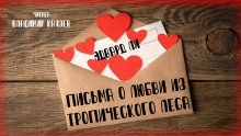 Слушать онлайн аудиокниги Письма о любви из тропического леса Аудиокнига Письма о любви из тропического леса