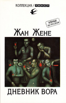 Слушать онлайн аудиокниги Дневник вора Аудиокнига Дневник вора