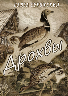 Слушать онлайн аудиокниги Дрохвы Аудиокнига Дрохвы
