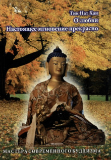 слушать аудиокнигу Настоящее мгновение прекрасно Аудиокнига Настоящее мгновение прекрасно