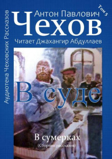 Слушать онлайн аудиокниги В суде Аудиокнига В суде