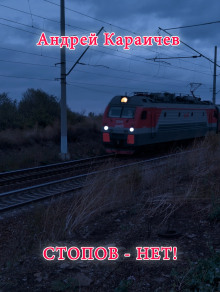 Аудиокнига Стопов — нет!