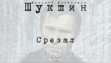 Аудиокнига Срезал