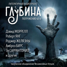 Слушать онлайн аудиокниги ГЛУБИНА. Погружение 42-е Аудиокнига ГЛУБИНА. Погружение 42-е