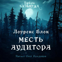 Слушать онлайн аудиокниги Месть аудитора Аудиокнига Месть аудитора