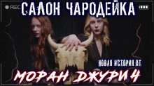 Слушать онлайн аудиокниги Салон "Чародейка" Аудиокнига Салон "Чародейка"