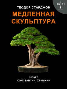 слушать аудиокнигу Медленная скульптура Аудиокнига Медленная скульптура