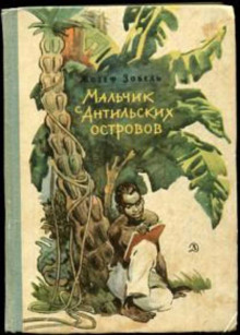 слушать аудиокнигу Мальчик с Антильских островов Аудиокнига Мальчик с Антильских островов