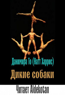 слушать аудиокнигу Дикие собаки Аудиокнига Дикие собаки