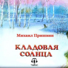 Аудиокнига Кладовая Солнца