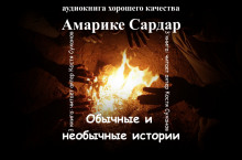 Слушать онлайн аудиокниги Обычные и необычные истории Аудиокнига Обычные и необычные истории