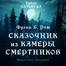 Слушать онлайн аудиокниги Сказочник из камеры смертников Аудиокнига Сказочник из камеры смертников