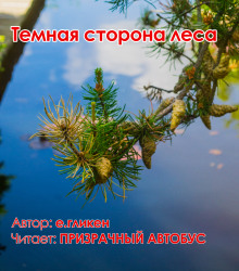 Аудиокнига Темная сторона леса
