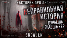 слушать аудиокнигу Неправильная история Аудиокнига Неправильная история