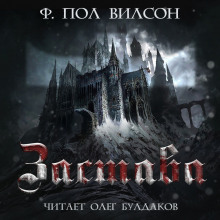 слушать аудиокнигу Застава Аудиокнига Застава