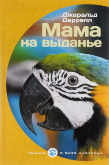 слушать аудиокнигу Мама на выданье. Рассказы Аудиокнига Мама на выданье. Рассказы