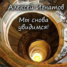 Аудиокнига Мы снова увидимся!